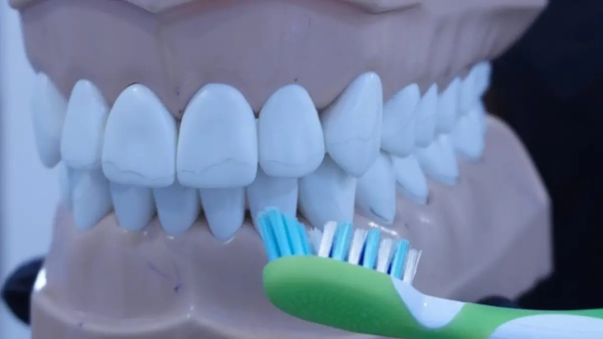 Explicación cepillado dental