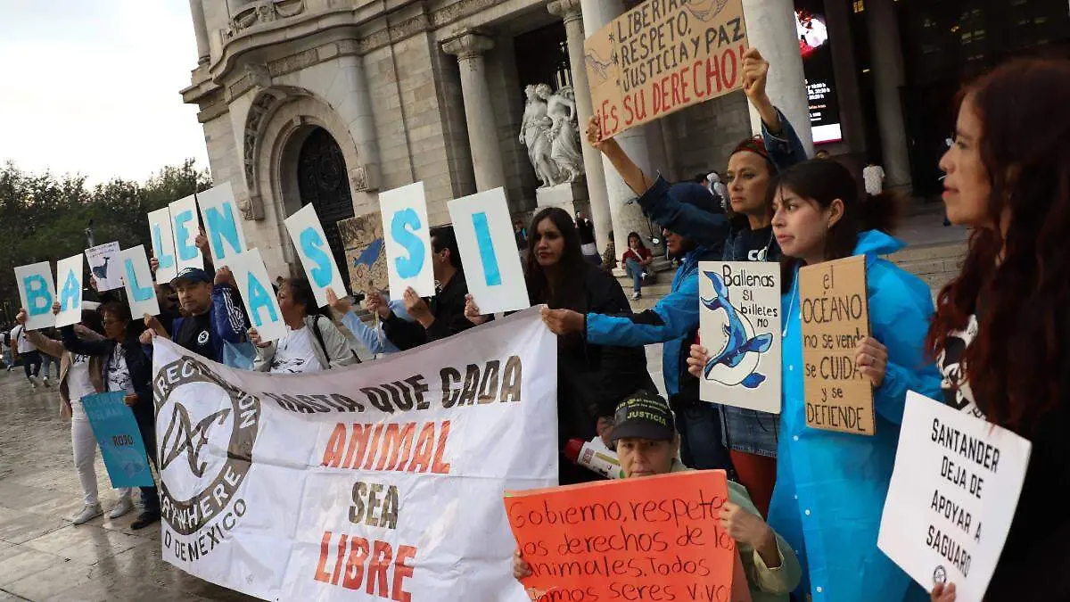 grupo-ambientalista-protesta-ambiental