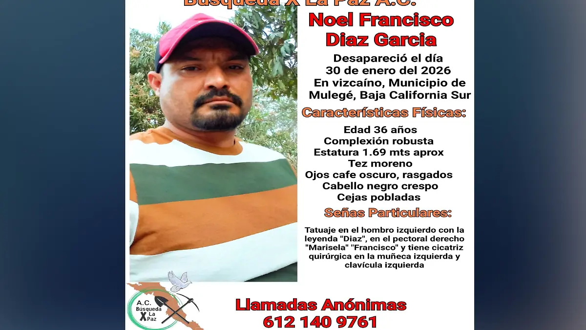 80FEF38F-948C-4129-BC96-7ECACC826662