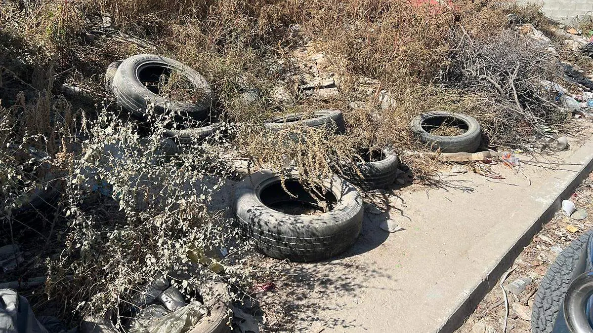 a82a17bd-5841-45d3-ae33-99a45ea68984