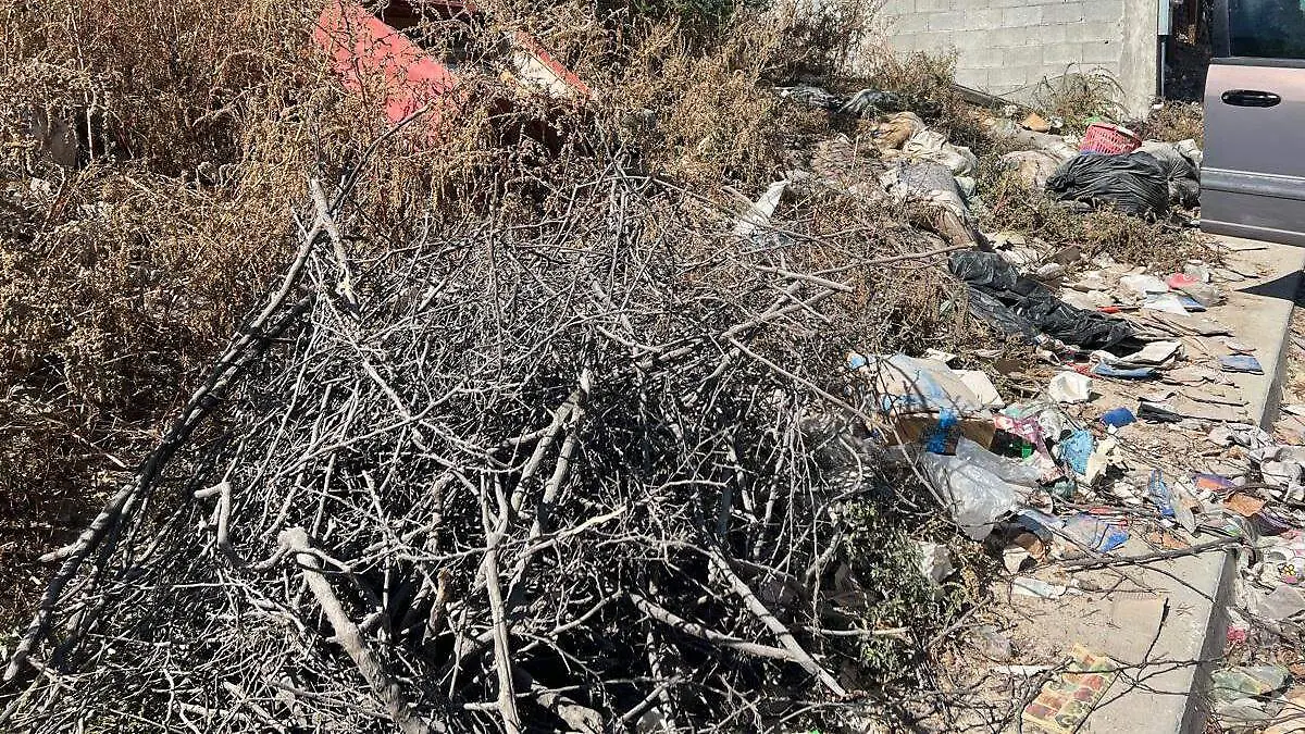 basura en vados y calles de los cabos 1