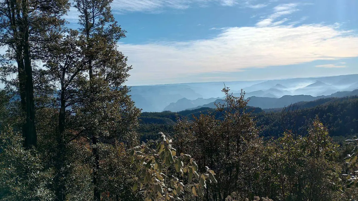 indigenas-chihuaha-sierra-tarahumara-mexico-mineria-tala2