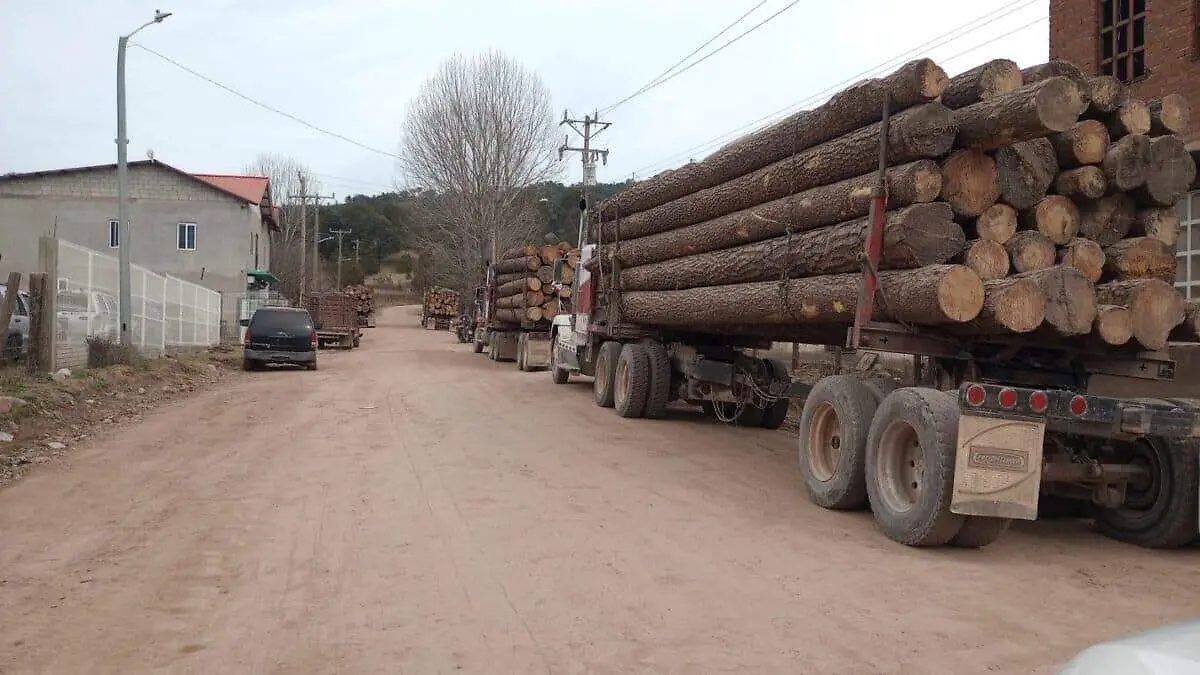 indigenas-chihuaha-sierra-tarahumara-mexico-mineria-tala3