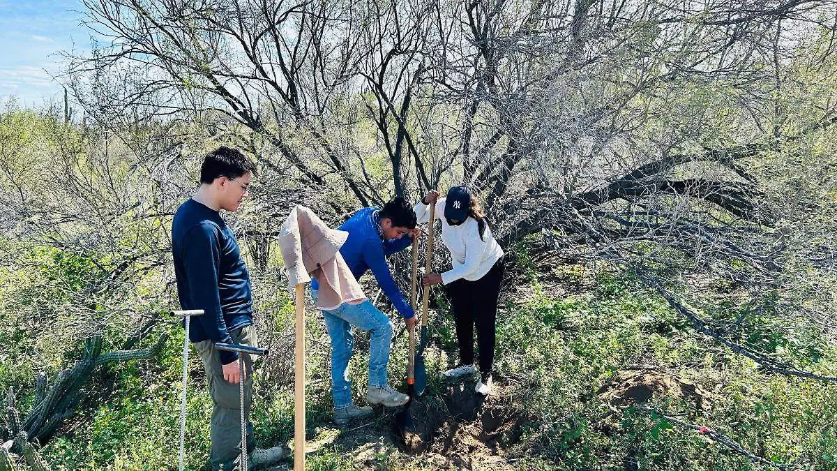 busqueda personas desaparecidas en bcs