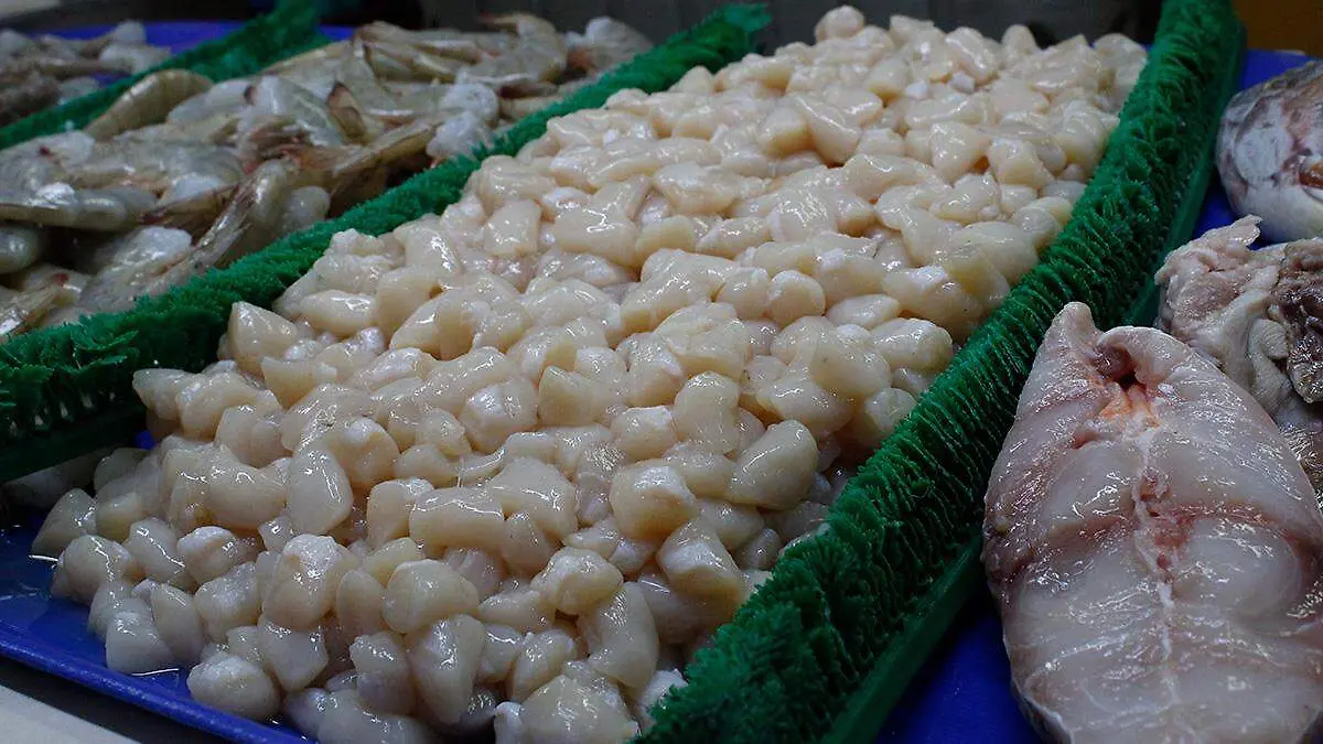 mariscos-mercado-olachea puesto negocio camaron callo