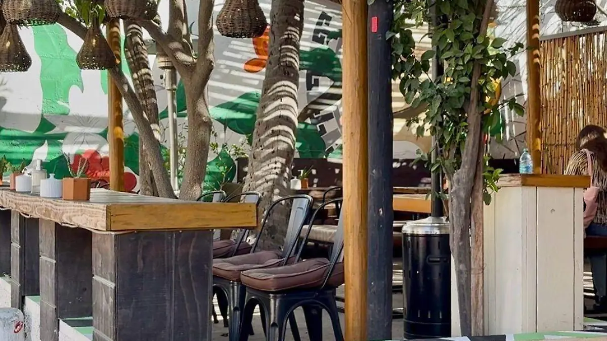 WhatsApp Image 2026-02-19 at 4.06.55 PM