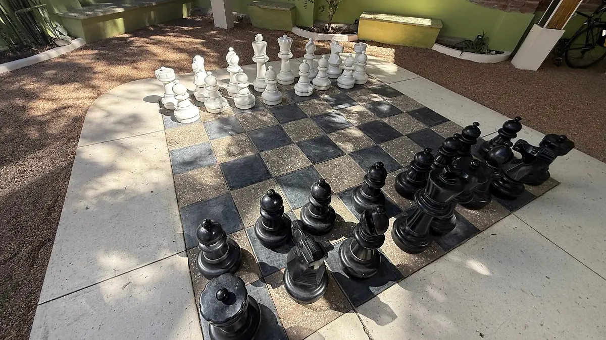 Ajedrez piedras y pajaros