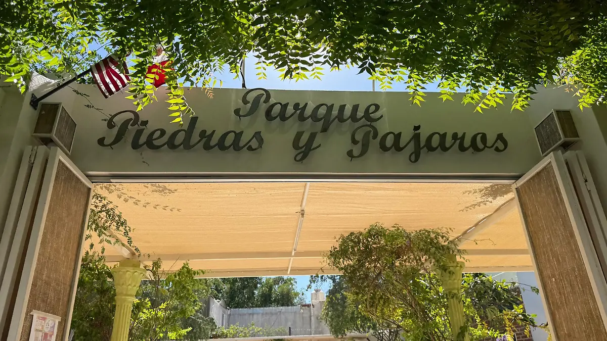 Entrada piedras y pájaros