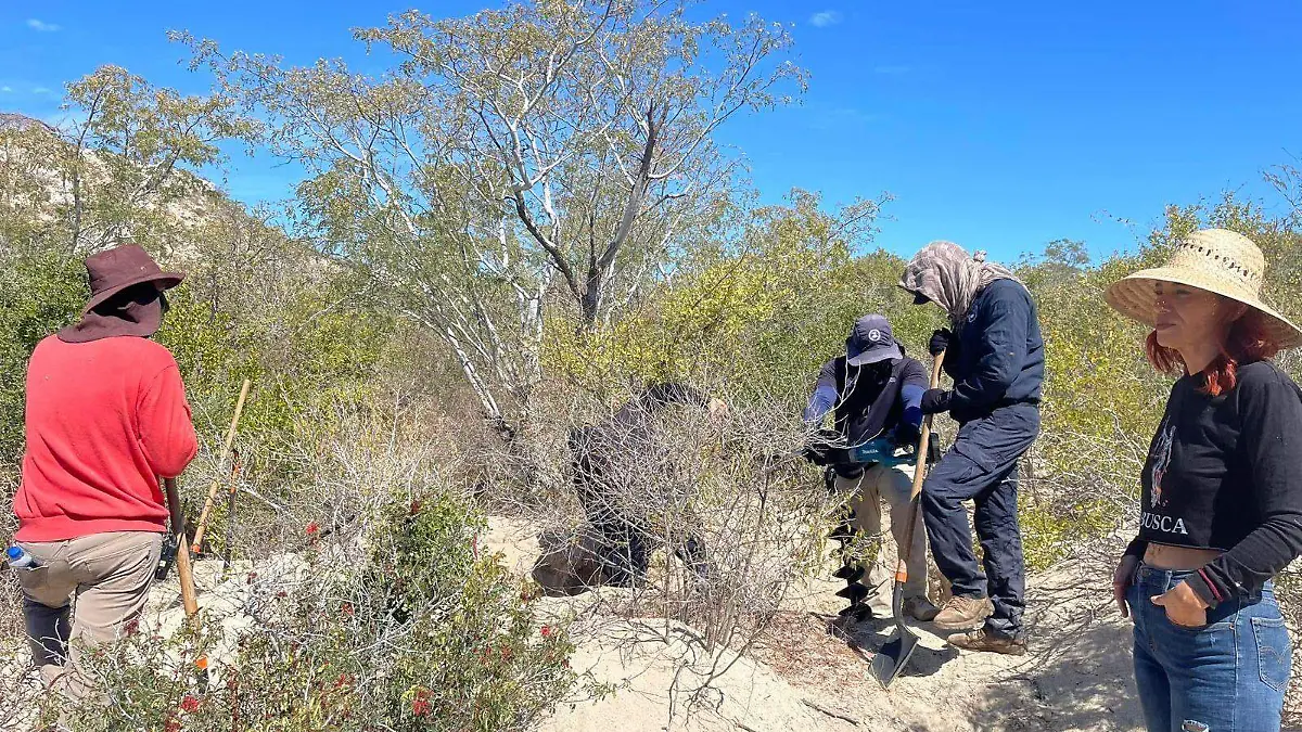 búsqueda de desaparecidos 