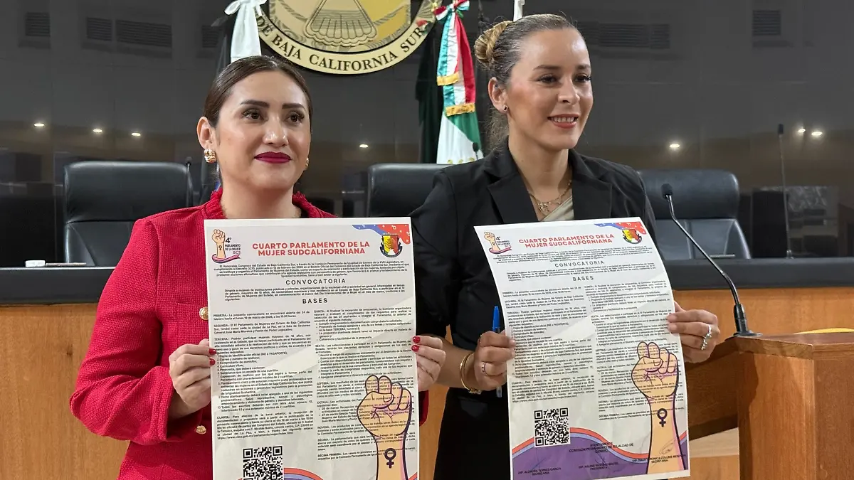 Diputada convocatoria