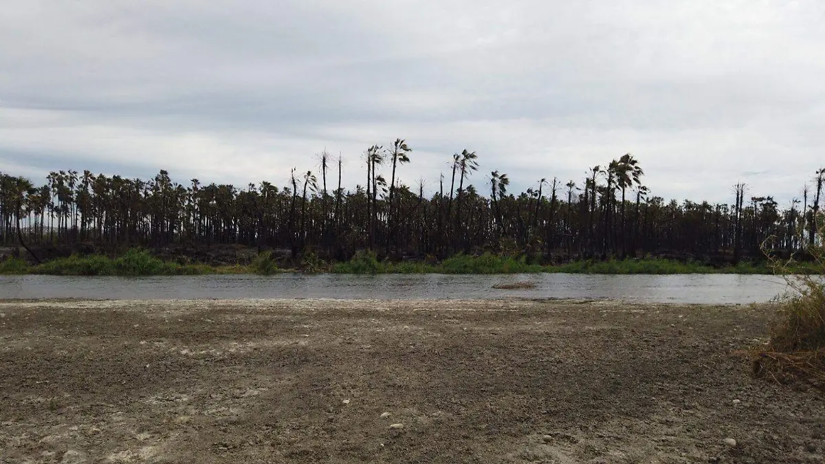 WhatsApp Image 2026-02-24 at 6.13.25 PM