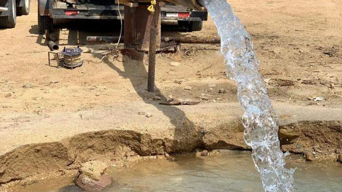 WhatsApp Image 2026-02-24 at 7.12.25 PM