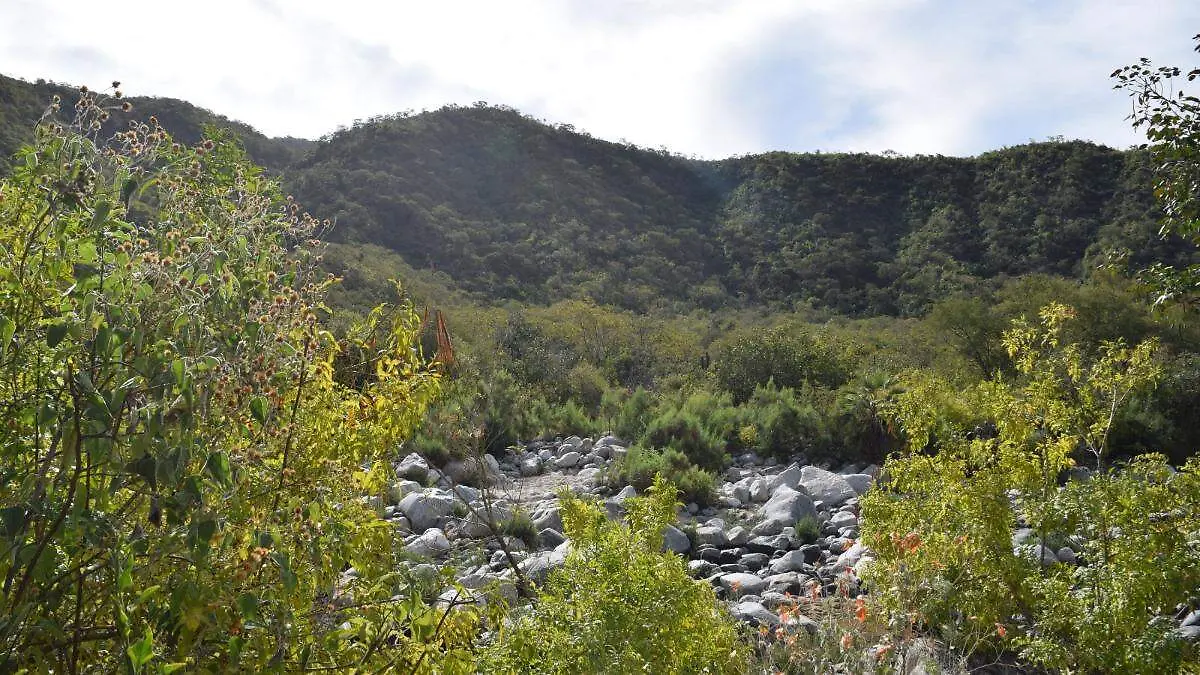 reserva-biosfera-sierra-la-laguna