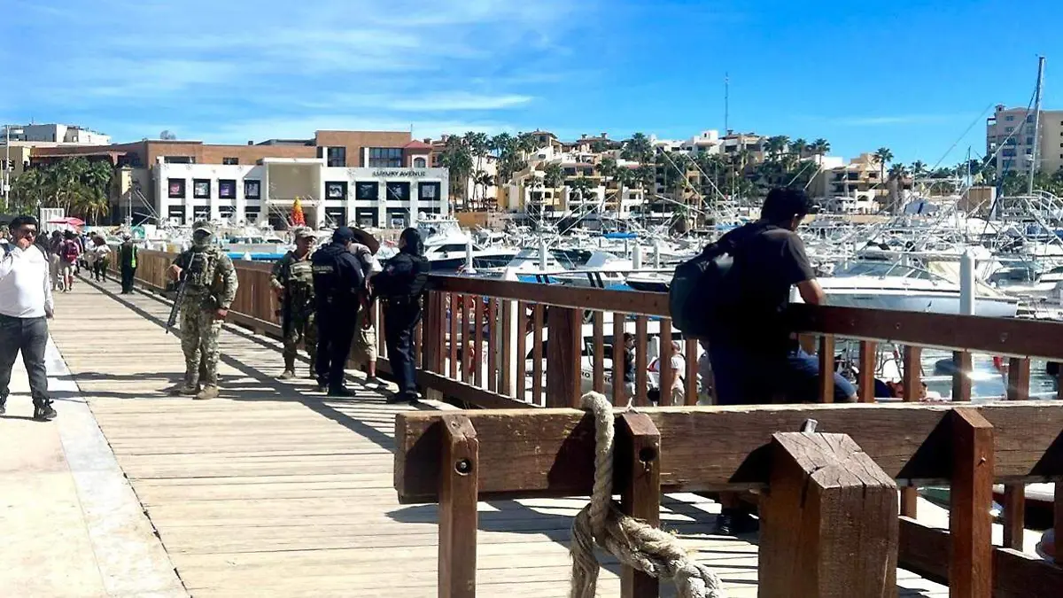 marina cabo san lucas 2