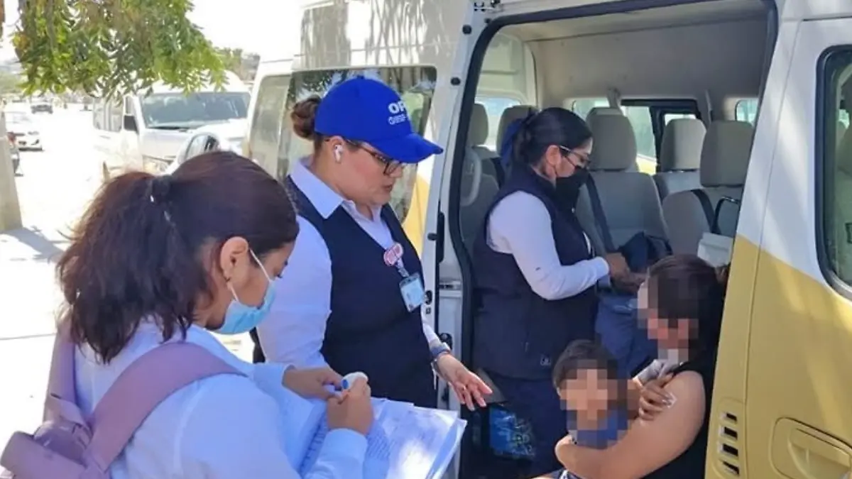 modulos vacunacion sarampon vacuna bcs