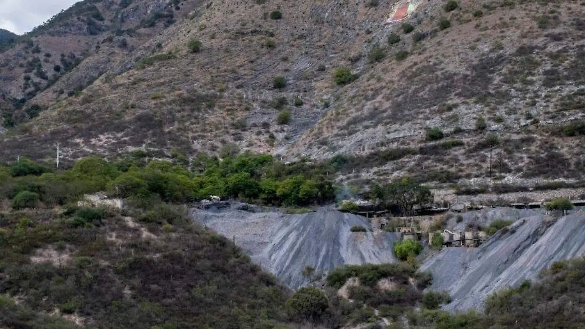 explotacion ilegal en mexico