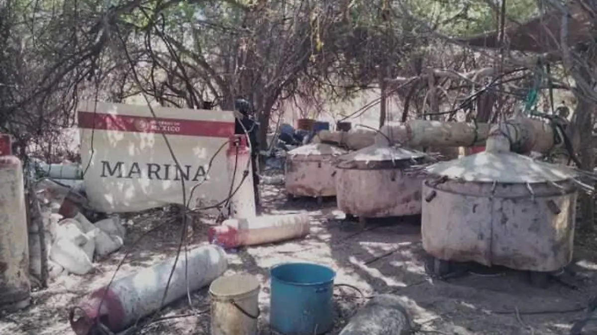 cartel-de-jalisco-nueva-generacion-actividades-contaminantes 2