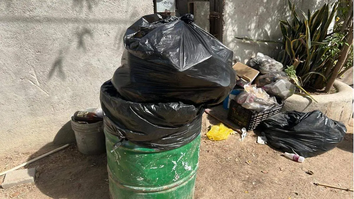 Basura - Los Cabos - Recoleccion - Servicios basicos