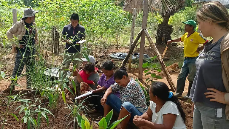 PORTADA Proyecto-nuevo-19