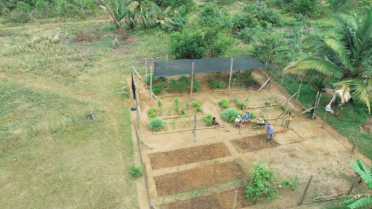 El jardin O KO PAK O