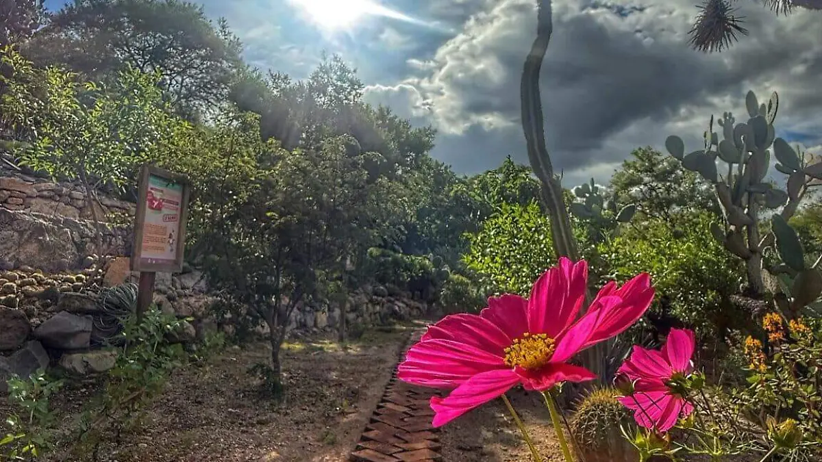 Jardin Botanico Regional de Cadereyta