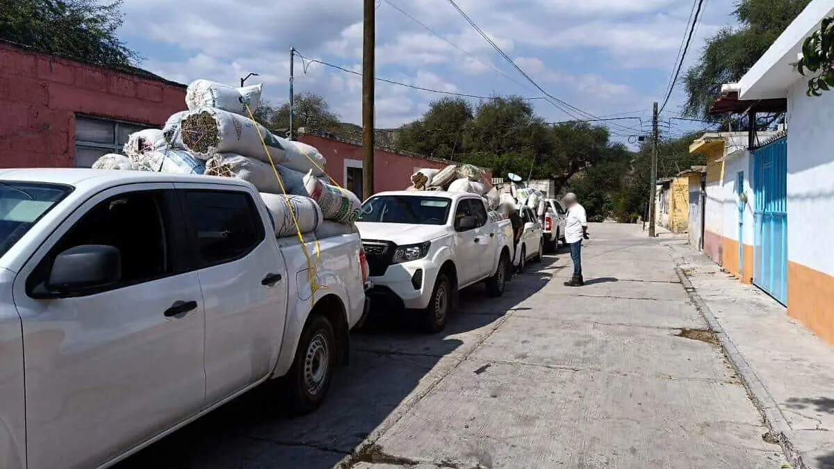 Cargamento de media tonelada de oregano asegurado