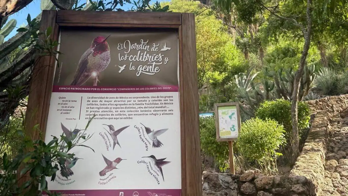 El Jardín de los colibries y la gente