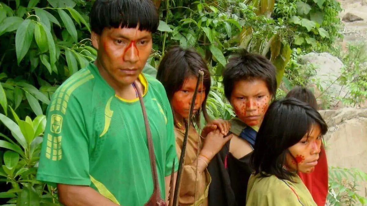 resencia de Uncaria tomentosa en bosques naturales conservados