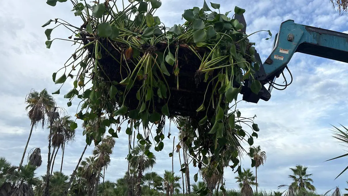 WhatsApp Image 2026-03-03 at 11.15.56 PM