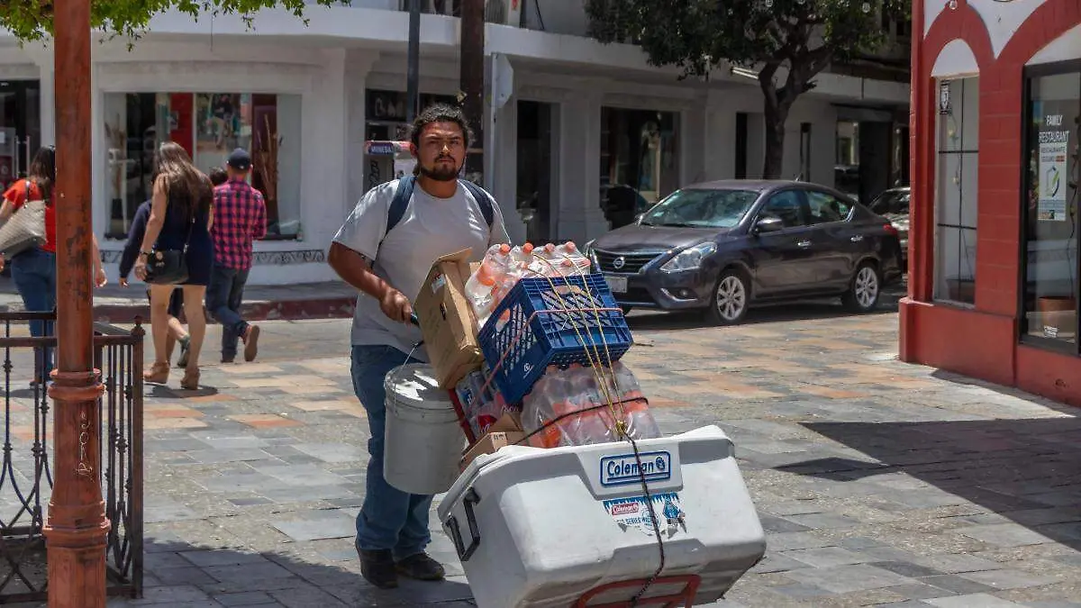 trabajador la paz bcs 2