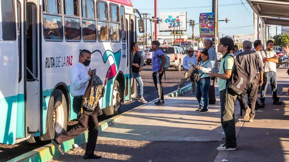 transporte publico la paz bcs