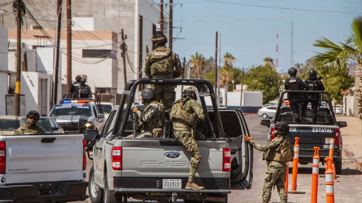 seguridad publica 