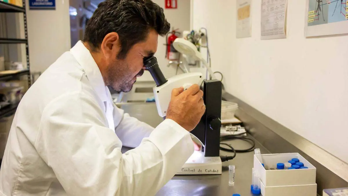 hombre-revisando-laboratorio-microscopio