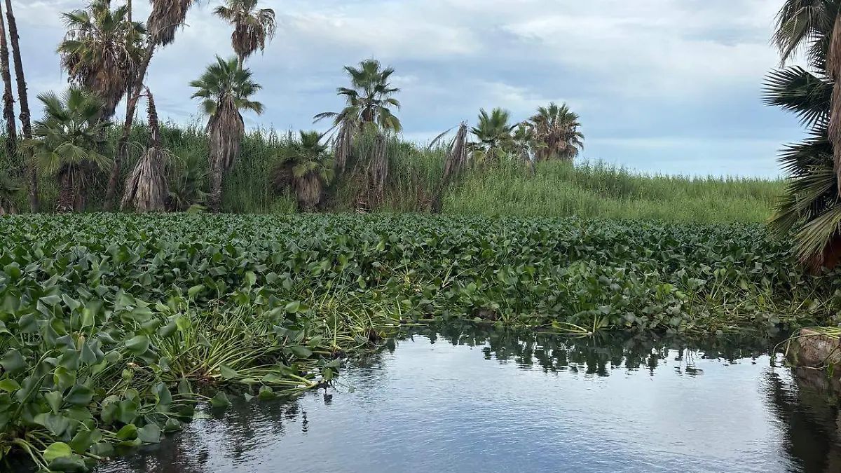 WhatsApp Image 2026-03-06 at 7.33.20 PM