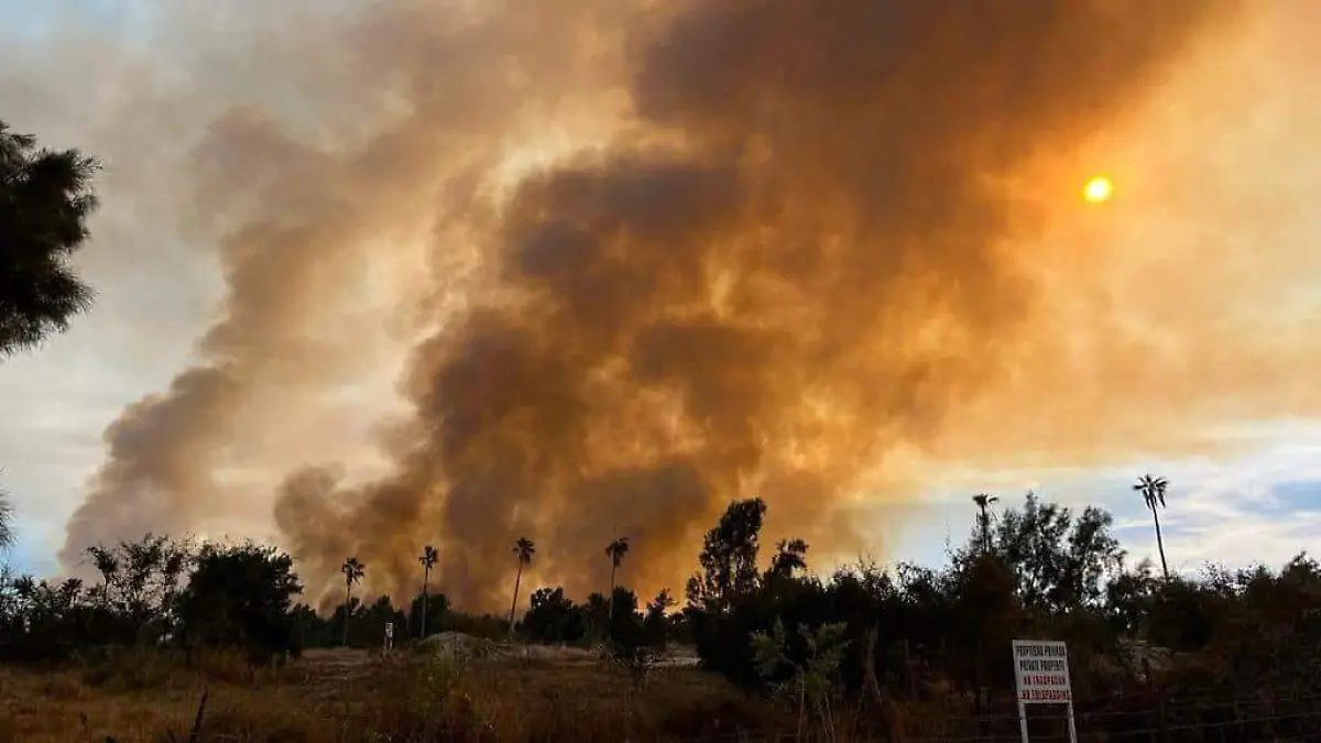 incendio en estero san josé del cabo