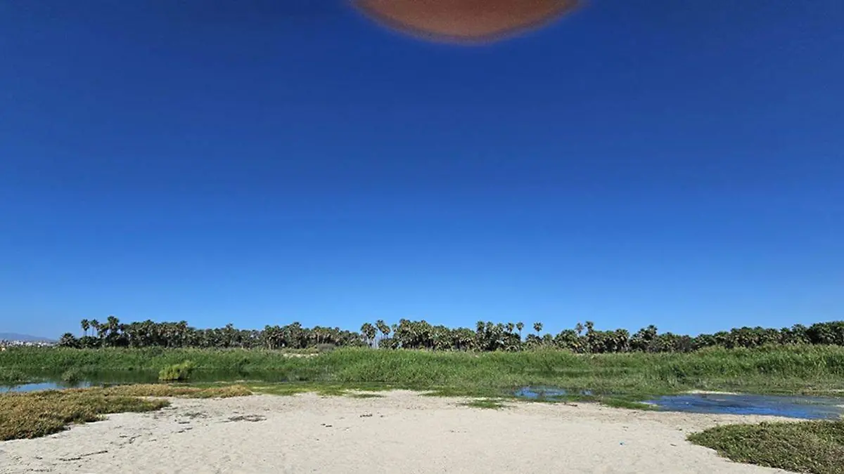 Estero de San Jose en Los Cabos