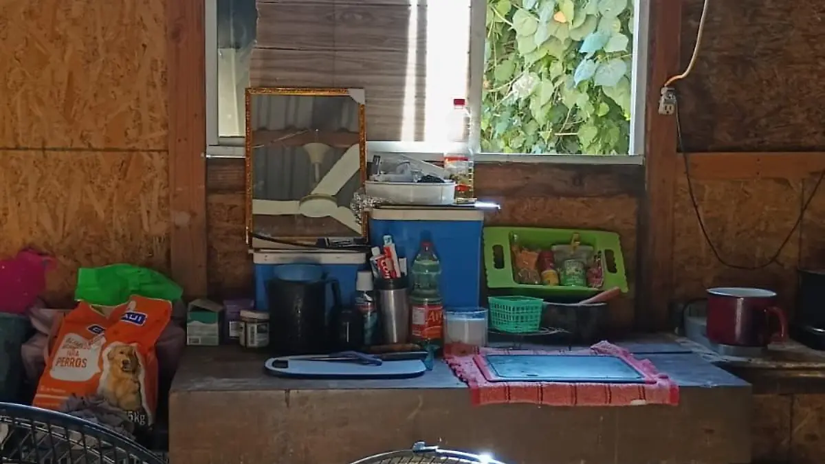 Portada Web Semanario (8)