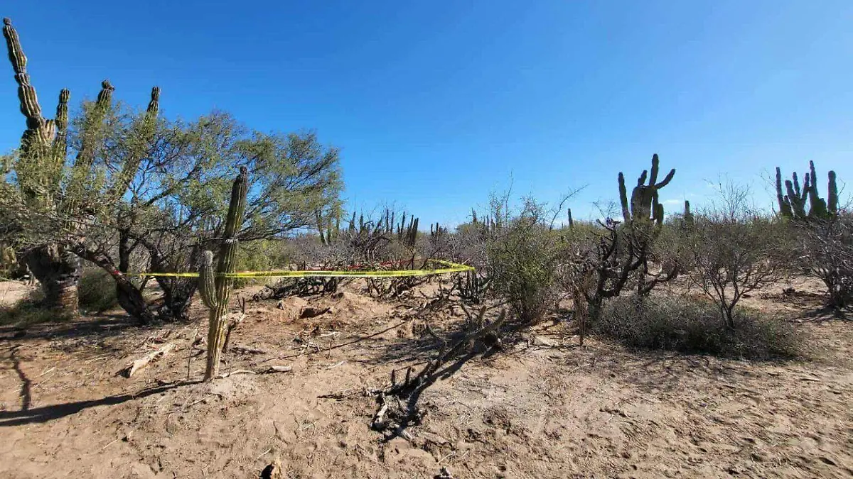 zona-fosas-clandestinas-comondu