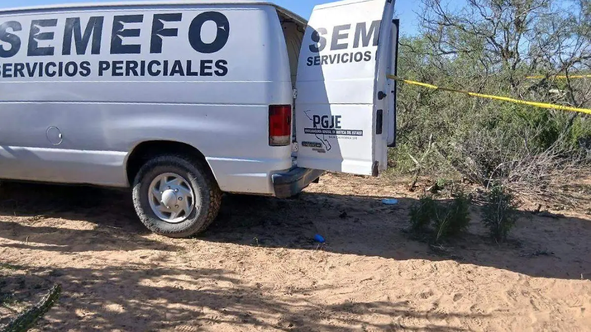 WhatsApp Image 2026-03-11 at 9.00.55 PM