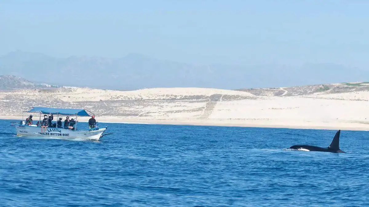 WhatsApp Image 2026-03-13 at 12.10.47 PM