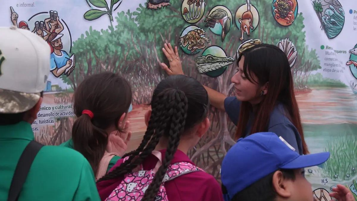 mujer-hablando-sobre-mural-niños-festival-aves-playeras