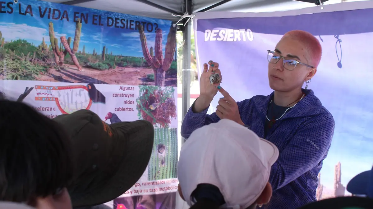 mujer-explicando-niños-stands-festival-aves-playeras