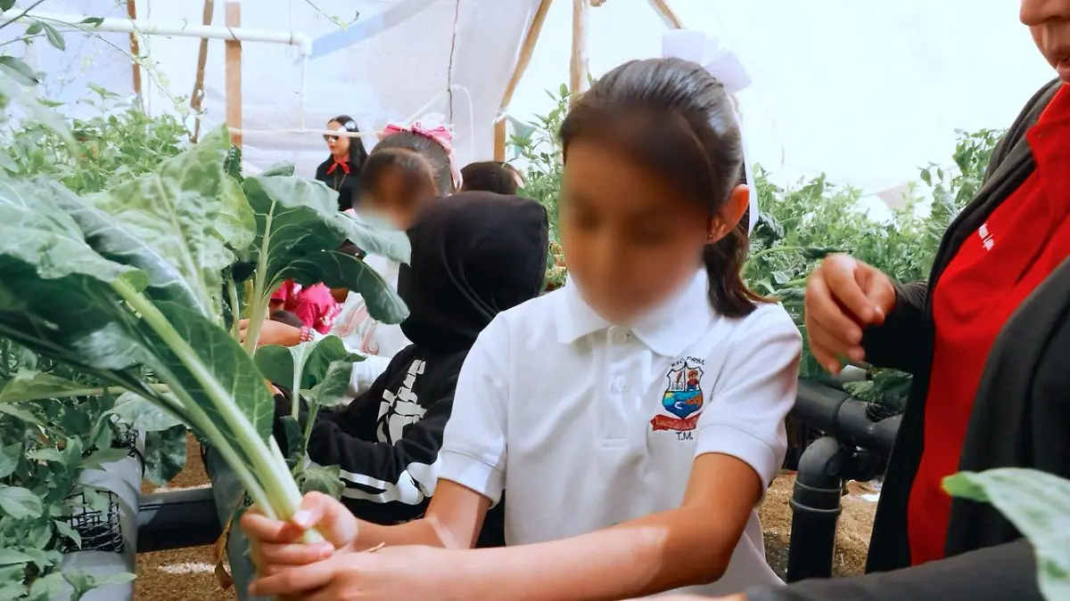 Portada Web Semanario (10)