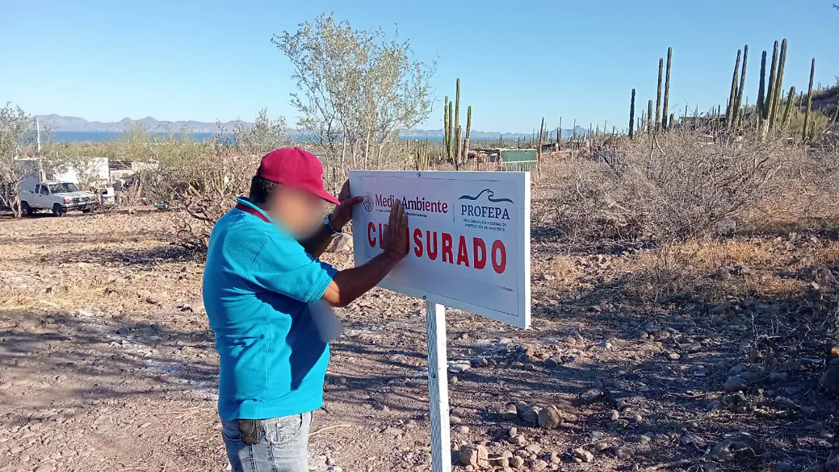 Portada Web Semanario (11)