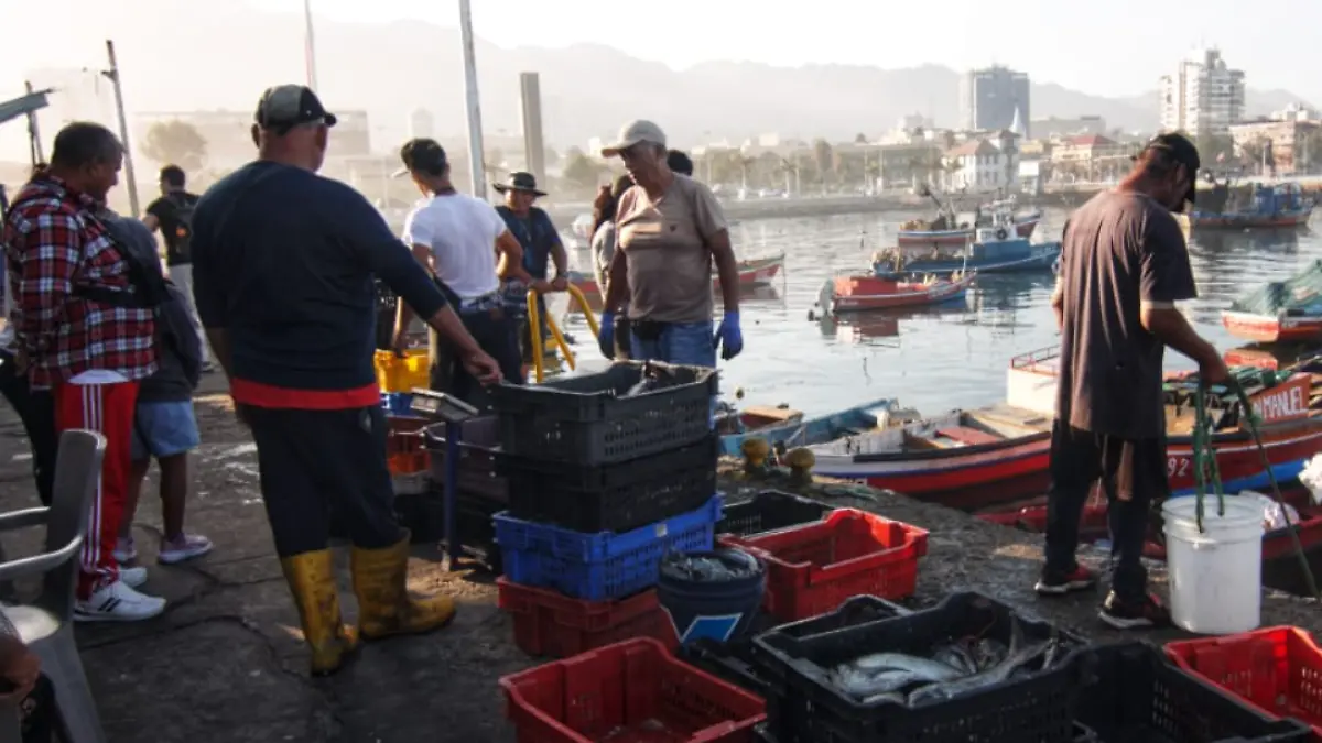 Portada Web Semanario (12)