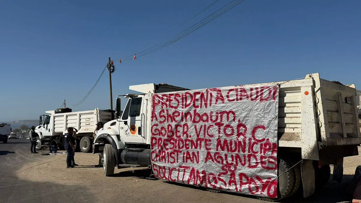 WhatsApp Image 2026-03-17 at 11.47.54 AM