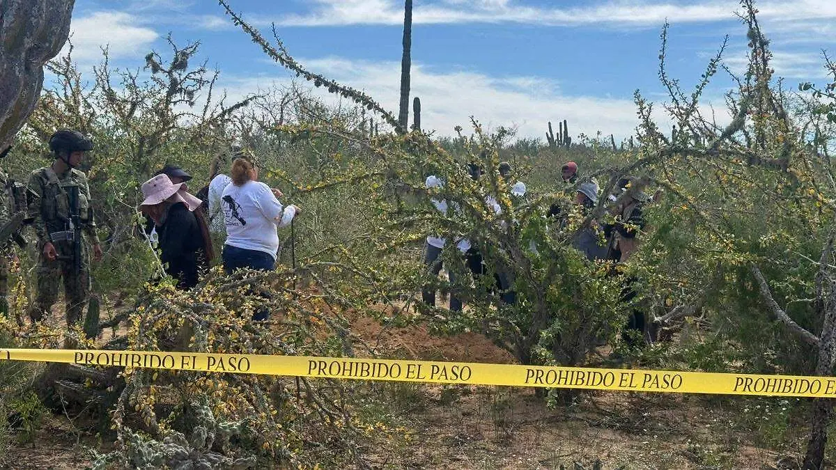 colectivo-busqueda-x-la-paz-fosa-clandestina-comondu