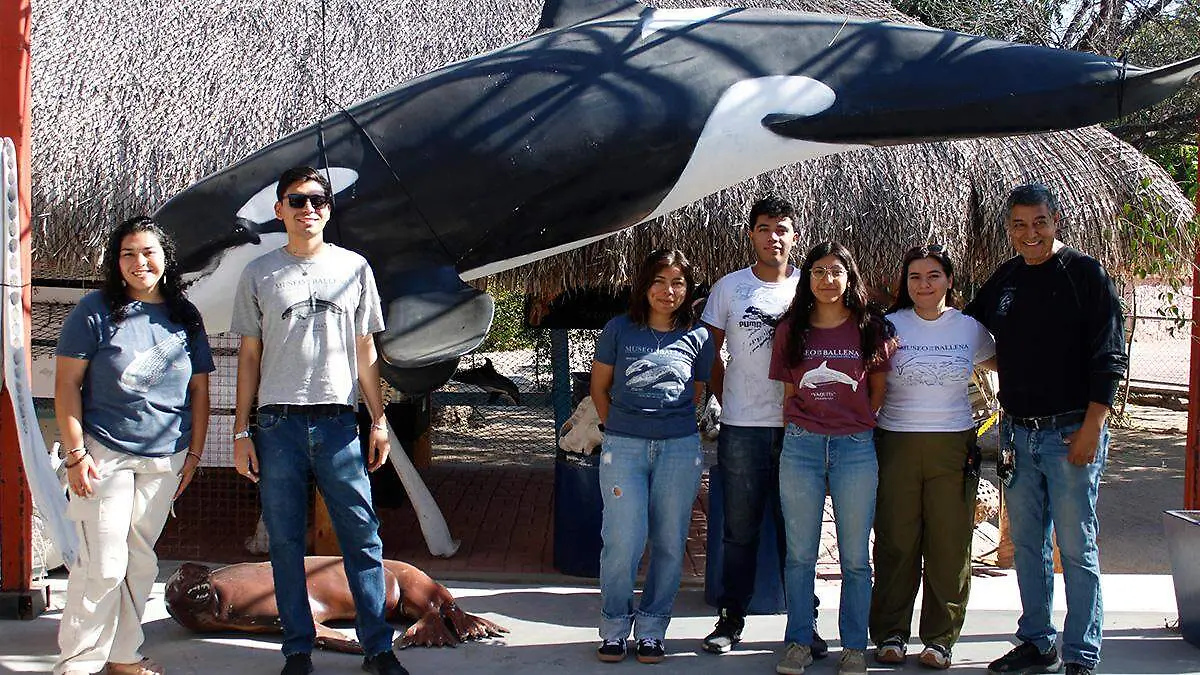 voluntarios-museo-de-la-ballena