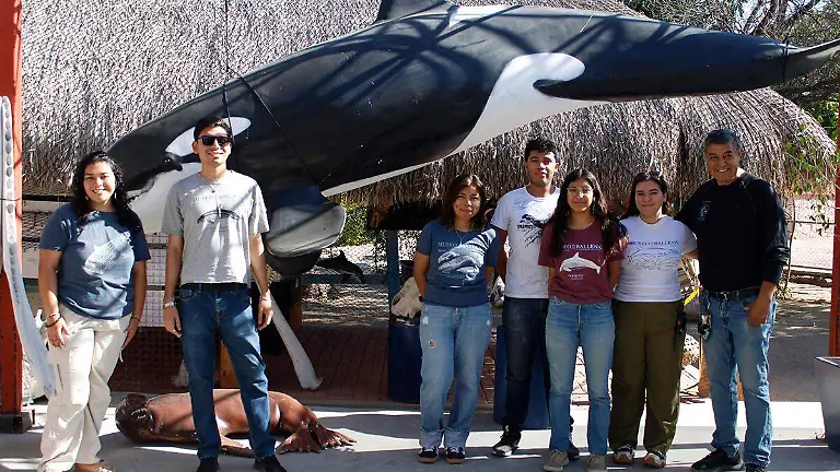 voluntarios-museo-de-la-ballena