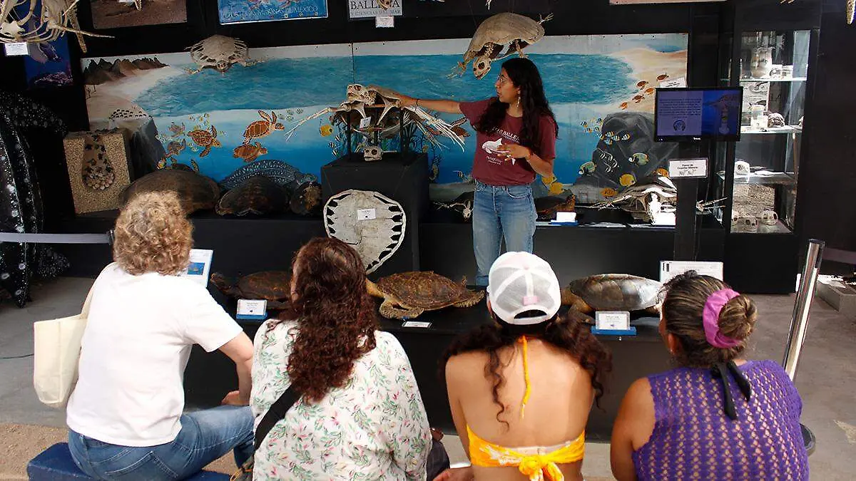 visita-guiada-museo-de-la-ballena
